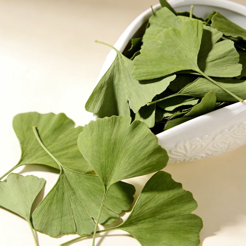 Quality Home Fragrance - Kaliteli Kurutulmuş Ginkgo Biloba Yaprakları Güzellik