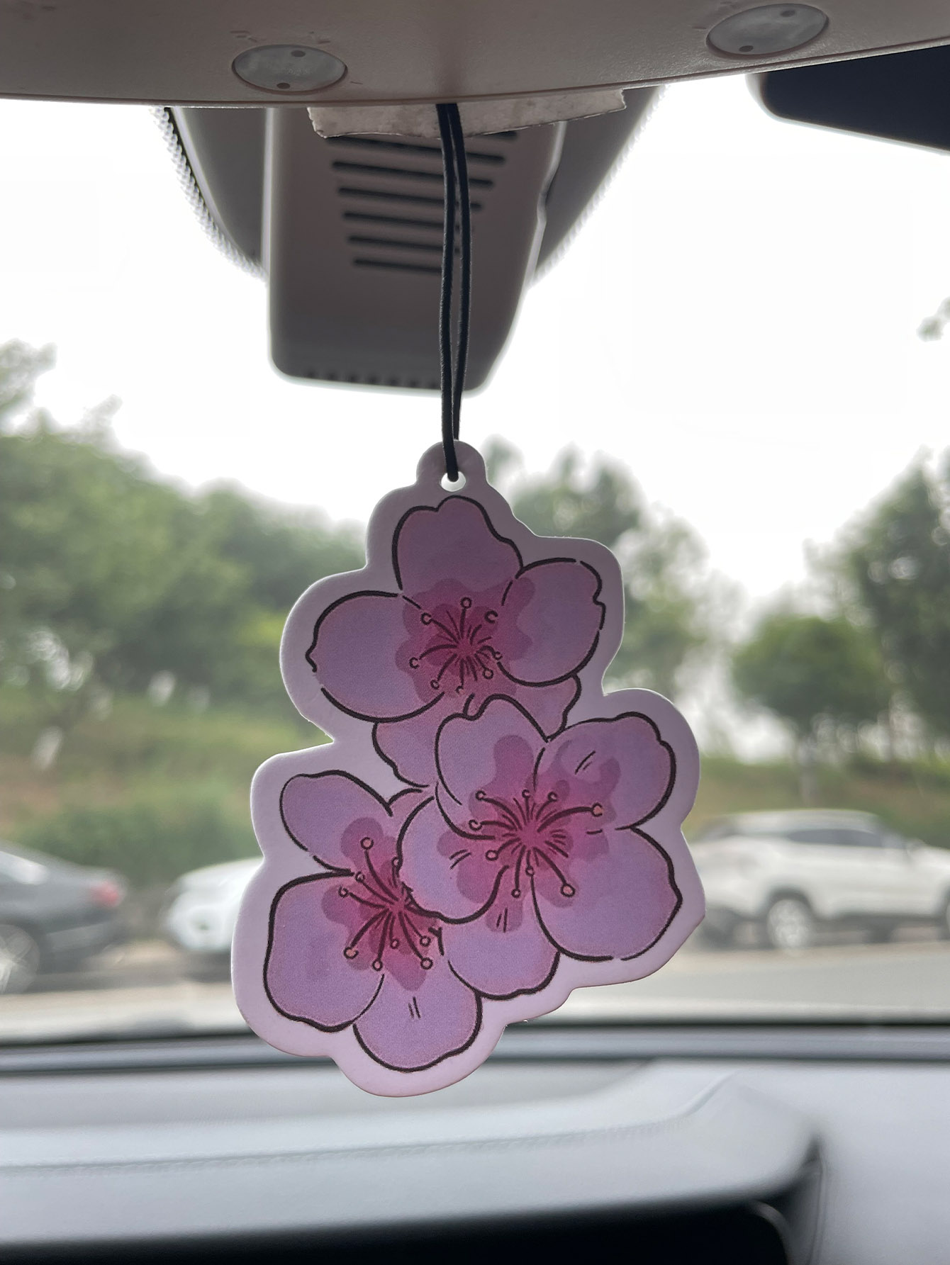 Home Fragrance Logo - Sakura/Frezya Taze Kokulu Beş Yıldızlı Nötr