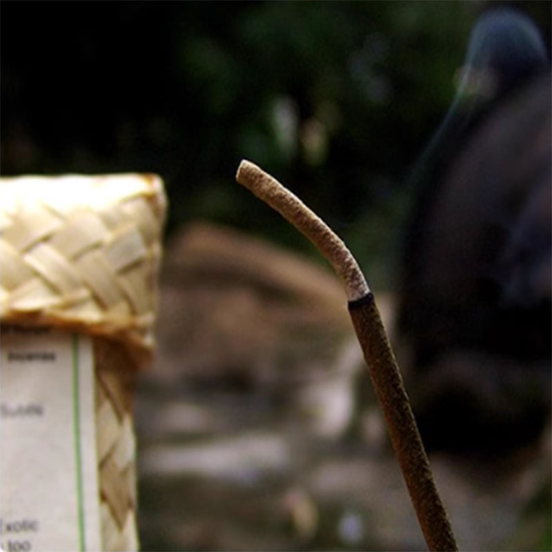 Log Bitkileri Tütsü Çubukları  - Home Fragrance Zen incelemesi ve fiyatı