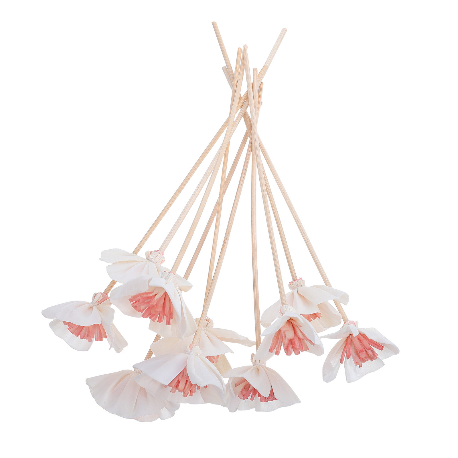 10 Adet Siyah Çok Gözenekli Fi - Home Fragrance For Diffuser incelemesi ve fiyatı