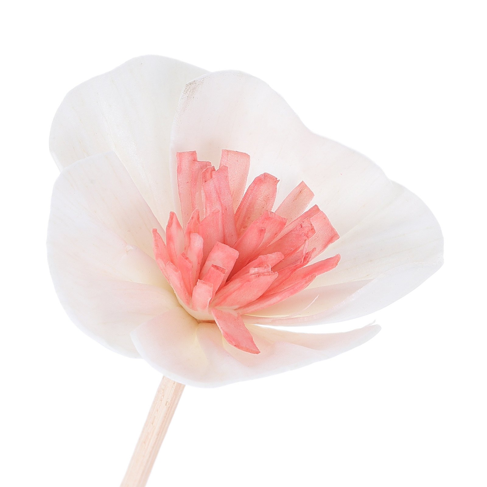 10 Adet Siyah Çok Gözenekli Fi - Home Fragrance For Diffuser incelemesi ve fiyatı