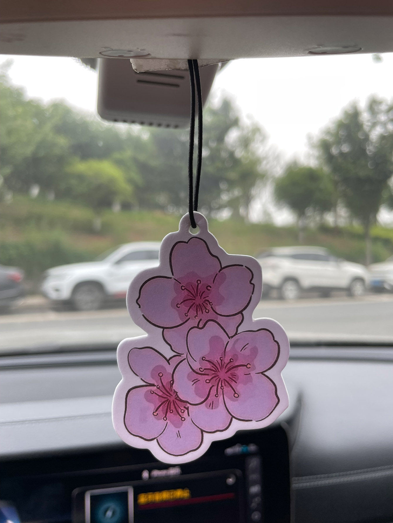 Sakura/Frezya Taze Kokulu Beş  - Home Fragrance Logo incelemesi ve fiyatı