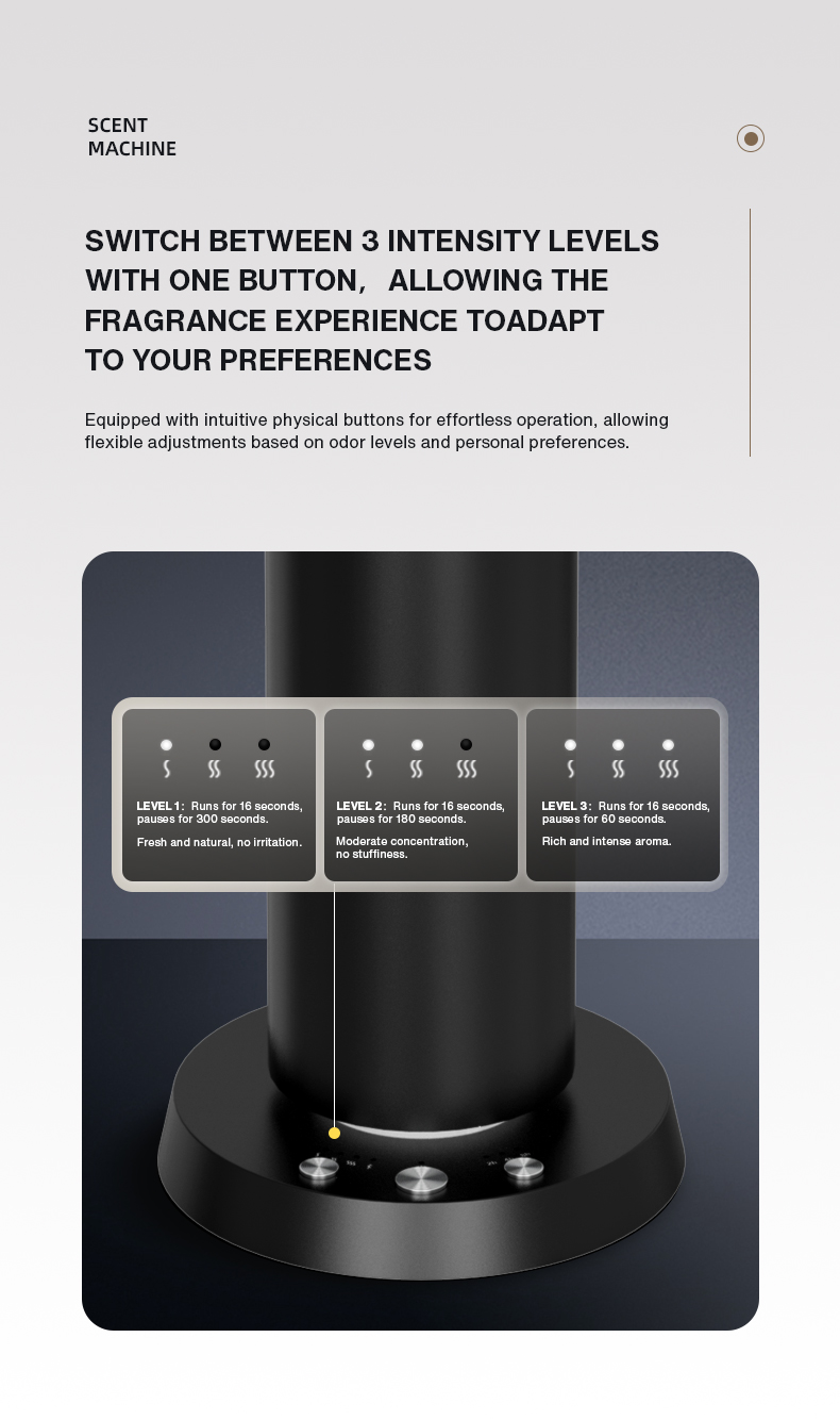 Ev Kokulandırıcı Parfüm Blueto - Home Fragrance Potpourri incelemesi ve fiyatı